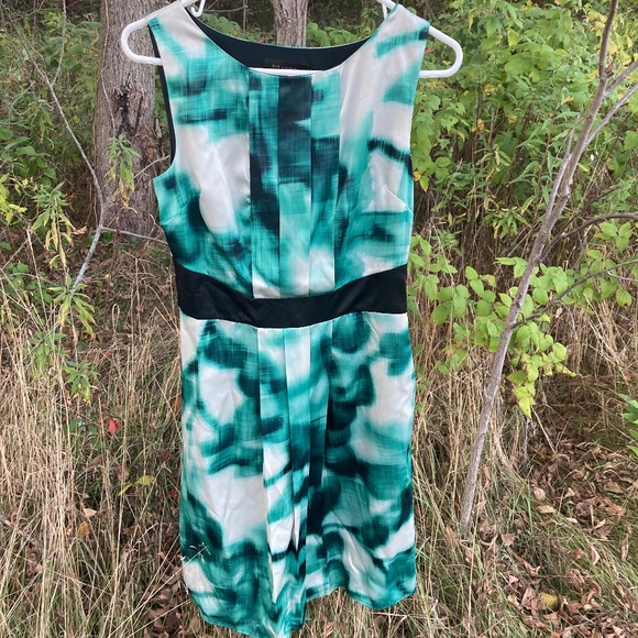Exquisite The Limited sleeveless sheath size 2 watercolor-style print - Picture 1 of 3